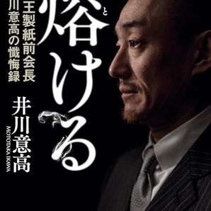 二冊 です。溶ける・再び溶ける大王製紙前会長 井川意高の懺悔録