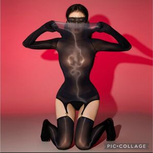 ボディスーツガーターベルト 光沢 コスチューム ボディスーツ 中身バレなし発送 送料無料