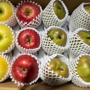 説明文必読 ラフランス&品種お任せ赤黄りんご 12個入 常温・リサイクル箱発送