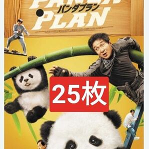 25枚 映画 熊計劃 Panda Plan パンダプラン チラシ フライヤー