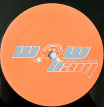 【Seeds / Equatorial】美盤/2005年/USオリジナル 12インチ盤/Jerry The CatHouse&DJ MINX remix/Women On Wax Recordings _画像2