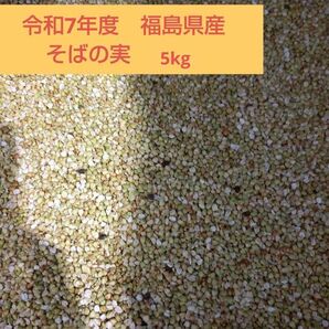 令和7年度 福島県産 蕎麦の実 5kg⑥