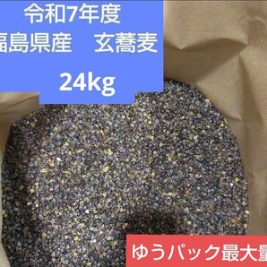 令和7年度 福島県産 玄蕎麦 24kg②