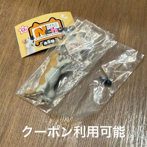 にゃんこチャンネル アナウンサー