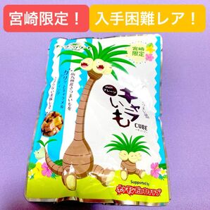 宮崎限定 キャラいも ナッシーリゾートin宮崎県 ポケモンだいすきクラブ さつまいもCUBE プレーン さつまいも お土産 レア