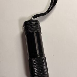 UVライト ブラックライト