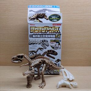 ほねほねザウルス×福井県立恐竜博物館EX ② フクイサウルス