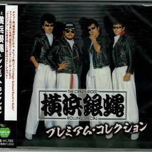 横浜銀蝿 プレミアム コレクション BHST-287