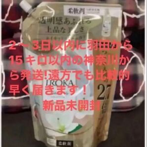 2〜3日以内に発送!2025年10月購入品 フレア フレグランス IROKA ネイキッドリリー1200ml イロカ