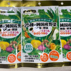 金の青汁 25種の純国産野菜 20日分 3袋