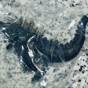 ゴジラ -1.0 ゴジラ(2023) ゴジラ真撃大全 新たなる来訪者 マイナスワン