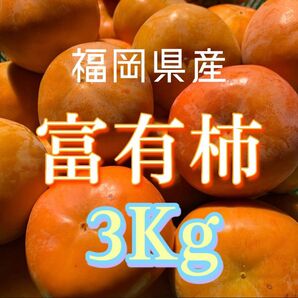【数箱限定】富有柿 3キロ