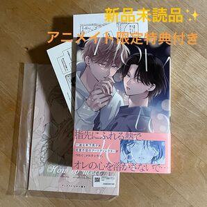 末広マチ「How to melt」アニメイト特典付き bl新刊 新品未読品