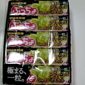 UHA味覚糖 ぷっちょスティック シャインマスカット 10個