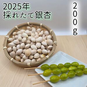 銀杏 200g
