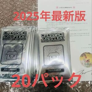 ふるさと納税 限定版 20パック Murakami.Flowers トレカ