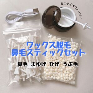 すぐ使える鼻毛ワックス脱毛セット ブラジリアンワックス 鼻毛 眉毛 うぶ毛 ひげ USB typeC