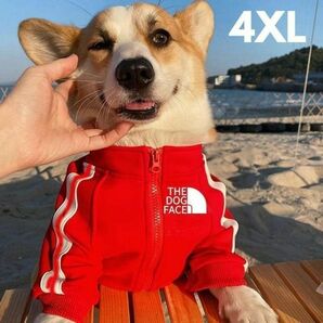 犬服 ジャージ DOG FACE ドッグフェイス コーギー 秋冬 赤4X