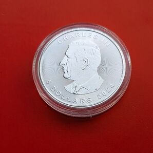 2024年 メイプルリーフ 銀貨 1オンス カナダカプセルケース入