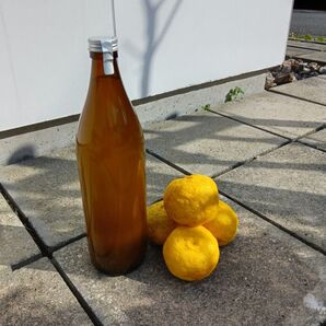 令和7年産徳島県木頭産柚子酢900ml1本