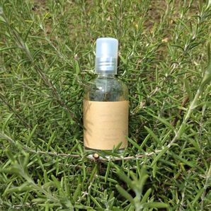 国産オーガニック“生”ローズマリー100%使用 フローラルウォーター スプレー