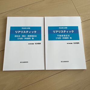 2026年 リアリスティック ひな形集 申請例(不動産登記法・商業登記法) 司法書士 ひな形集 辰巳法律研究所