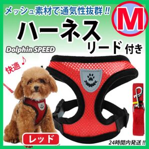 ハーネス《 Mサイズ:レッド 》蒸れないメッシュ素材 犬用 抜けないベストタイプ リード付 散歩 犬猫 ペット 胴輪
