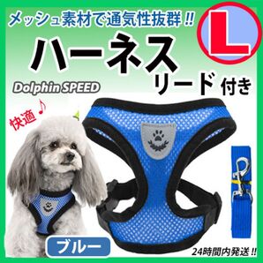 ハーネス《 Lサイズ:ブルー 》蒸れないメッシュ素材 犬用 抜けないベストタイプ リード付 散歩 犬猫 ペット 胴輪