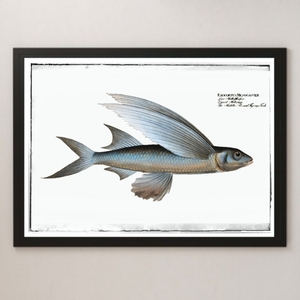 ヤフオク 魚類 図鑑 住まい インテリア の中古品 新品 未使用品一覧 ヤフオク 魚類 図鑑 住まい インテリア の中古品 新品 未使用品一覧