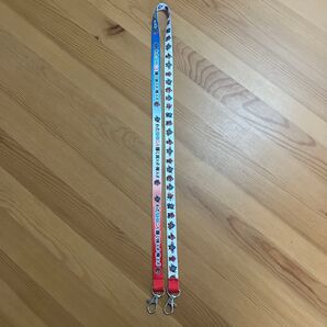 美品 わたSHIGA 輝く 国スポ 障スポ 2025 ネックストラップ