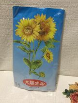 新品☆チュチュアンナなどカラータイツパンティストッキング3足まとめて福袋セット♪tutuanna茶色グレー白色レース柄タイツM～Lサイズ_画像9