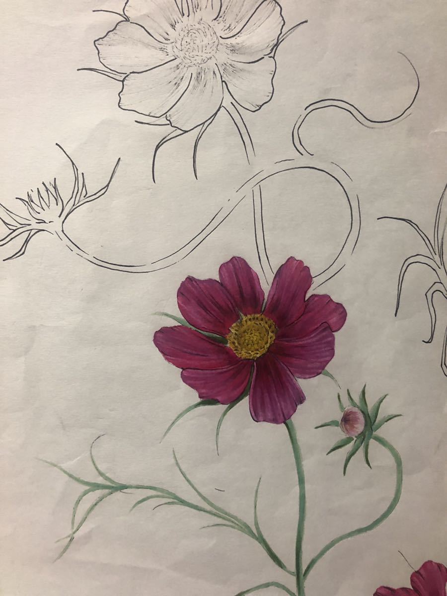 花卉系列 14 波斯菊, 绘画, 日本画, 其他的