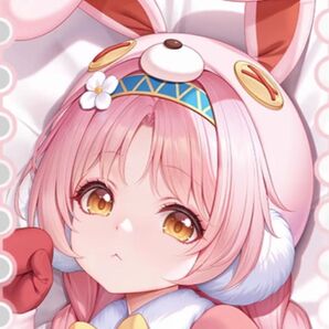 【プリンセスコネクト!Re:Dive】ミミ 特殊版(A3B3)抱き枕カバー 萌彼岸