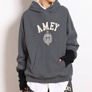 AP STUDIO 【AMERICANA/アメリカーナ】AMEY emblem HOODIE PULLOVER