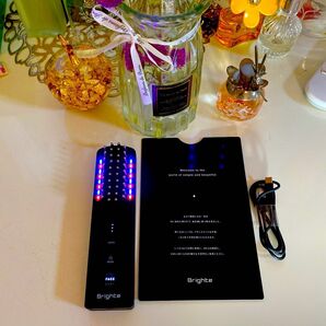 最新版 美品 ブライト エレキブラシプラス