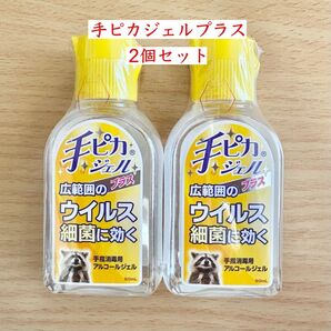 手ピカジェルプラス 60mL 2個 広範囲のウイルス細菌に効く 手指消毒用