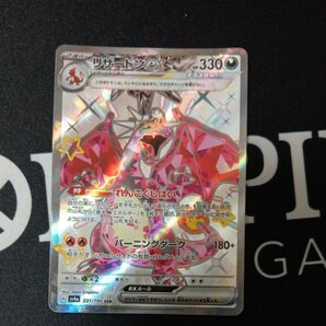 リザードンex SSR