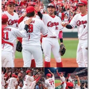 2026カープカレンダー 下部に企業名入り