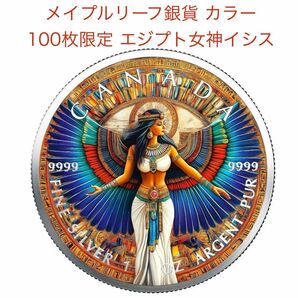 依頼銀貨 専用です