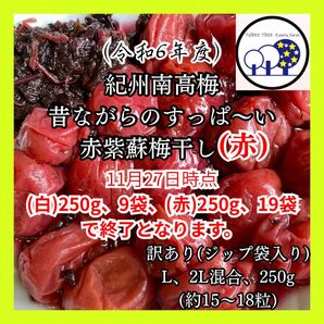 令和6年紀州南高梅 無添加赤紫蘇梅干し(赤)L、2L混合、A級、キレ訳あり、250g+赤紫蘇