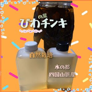 ビワの葉チンキ 自然栽培 水の都 ローション作り 180ml
