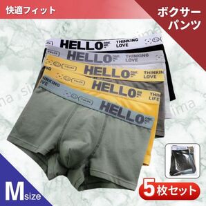 ボクサーパンツ ブリーフ メンズ ローライズ インナー M 5枚セット 前閉じ 通気性 おしゃれ シンプル 無地 肌着 下着