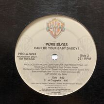 Pure Blyss/Can I Be Your Baby Daddy?_画像2