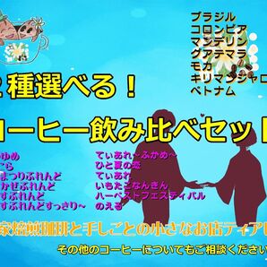 【200g】2種類選べる 飲み比べ コーヒー豆セット 自家焙煎珈琲