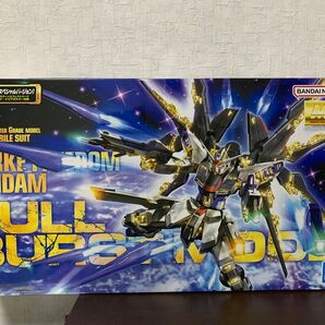 【未組立品】 MG ストライクフリーダムガンダム フルバーストモード 機動戦士ガンダムSEED DESTINY
