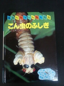 Ba4 00518 講談社カラー科学大図鑑 こん虫のふしぎ 著:梅谷献二 昭和60年9月5日第4刷発行 講談社