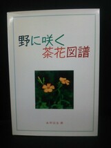 Ba5 02014 野に咲く 茶花図譜 著:永井宗圭 昭和61年2月8日 3版発行 淡交社_画像1