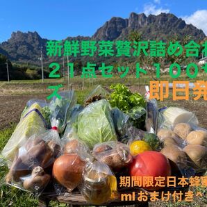 新鮮野菜贅沢詰め合わせ21点セット期間限定日本蜂蜜70mlおまけ付き^ ^100サイズ