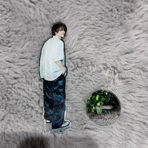 本田響矢 アクリルスタンド アクスタ