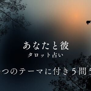あなたと彼 タロット占い 5問5答 恋愛